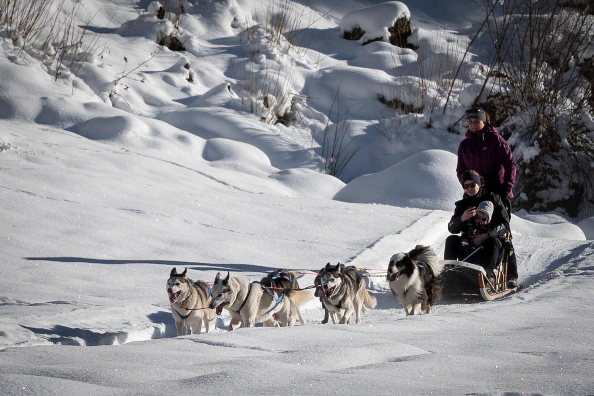 Huettenhotel Husky Lodge Muotathal Екстериор снимка