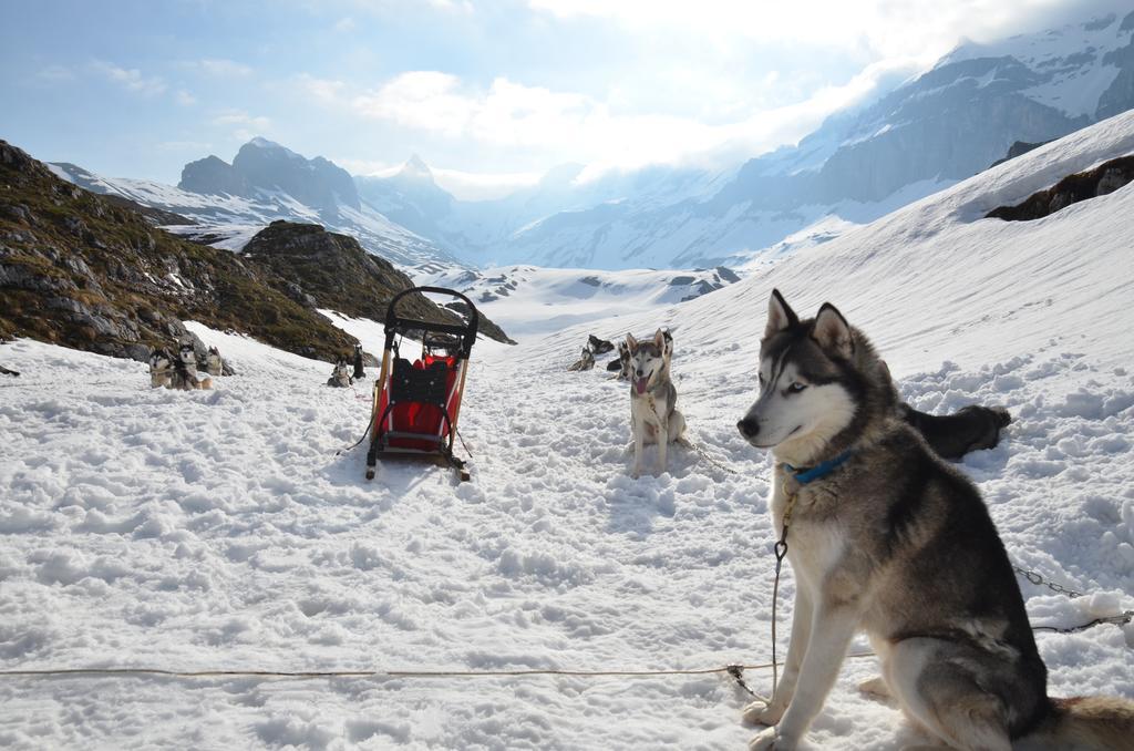 Huettenhotel Husky Lodge Muotathal Екстериор снимка